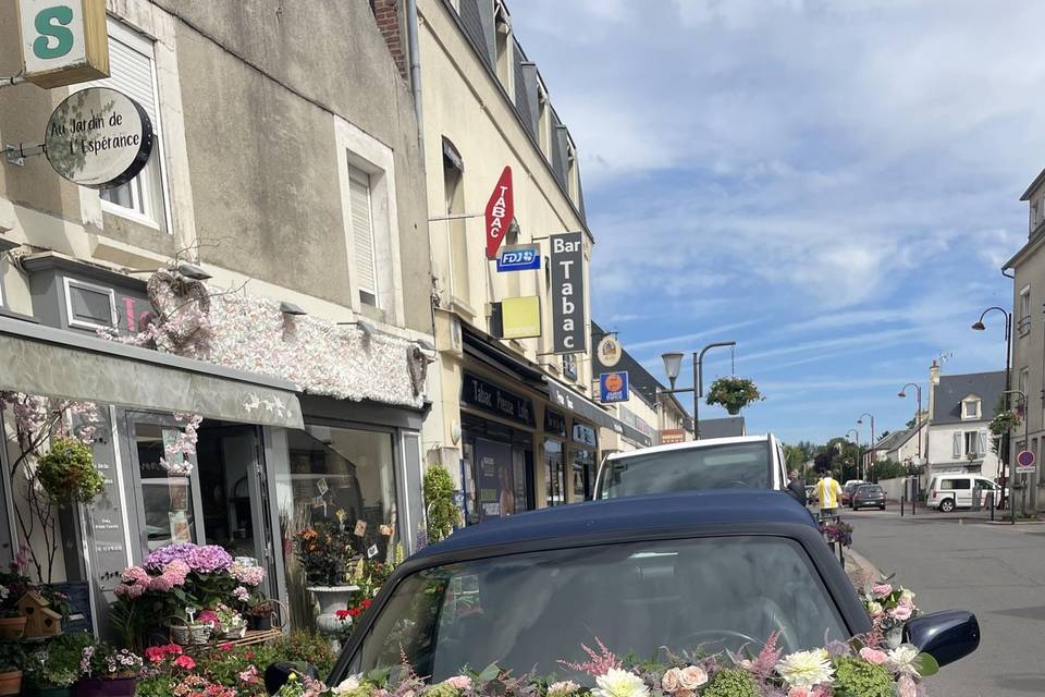 Guirlandes voiture