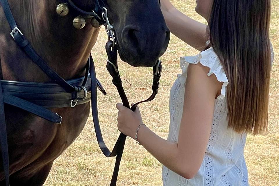 Couronne cheval