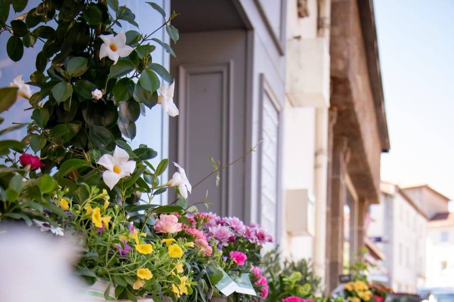 Notre boutique