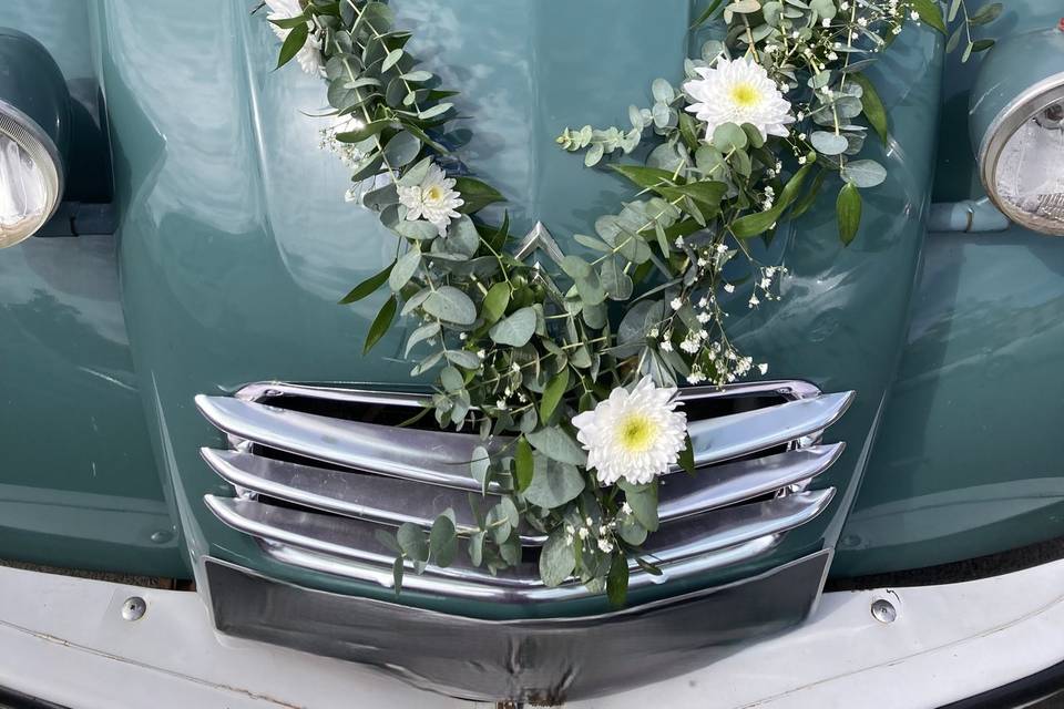 Décore voiture
