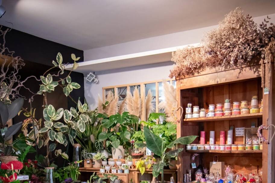 Notre boutique