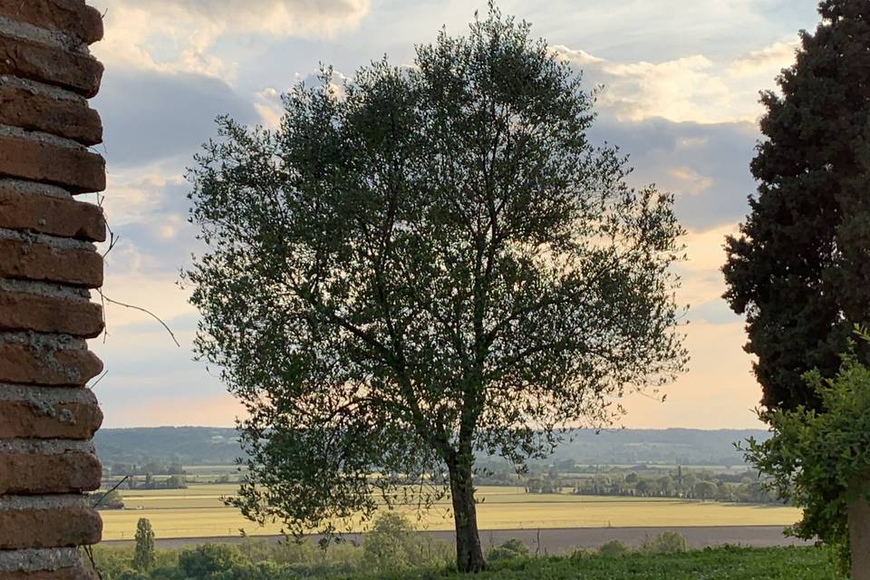 La vue domaine quintalone