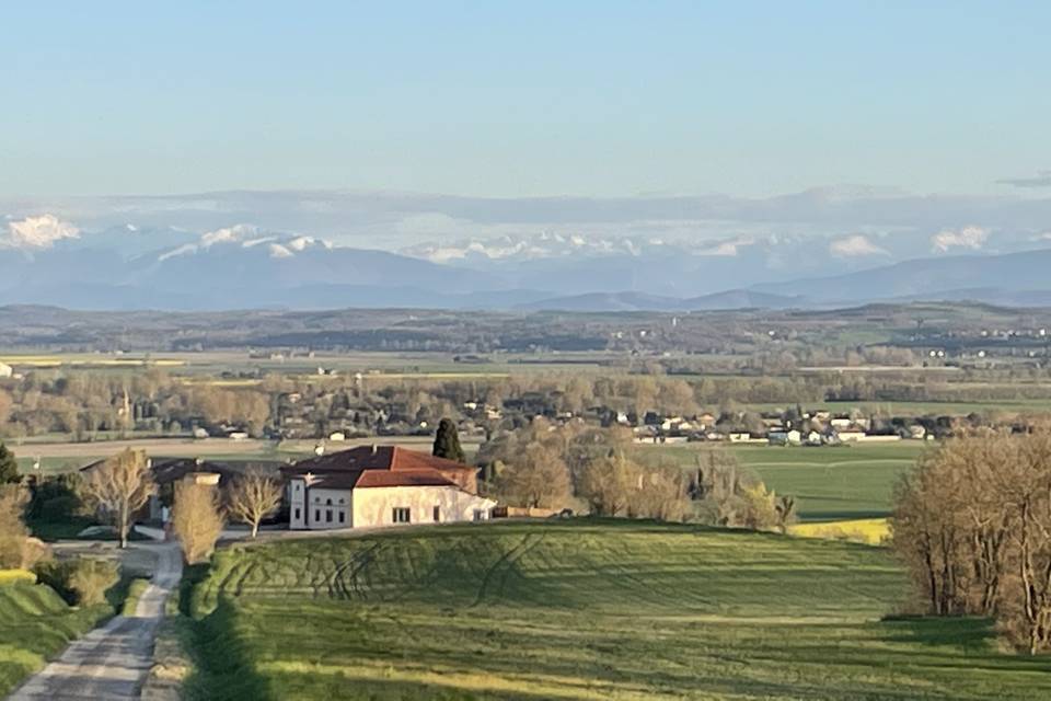 Arrivée au domaine Quintalone