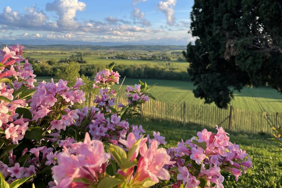 La vue domaine quintalone