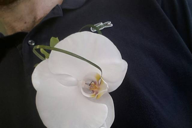 Essai boutonnière