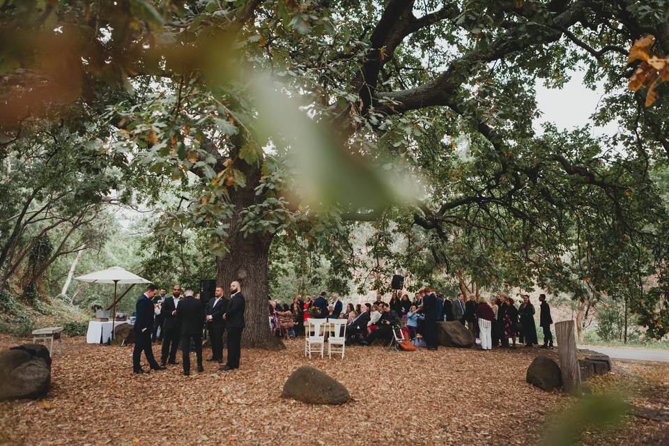 Megan & Mark - Melbourne