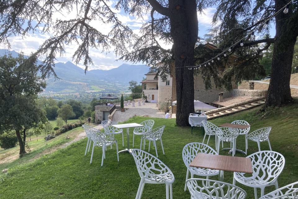 Salon sous les cèdres