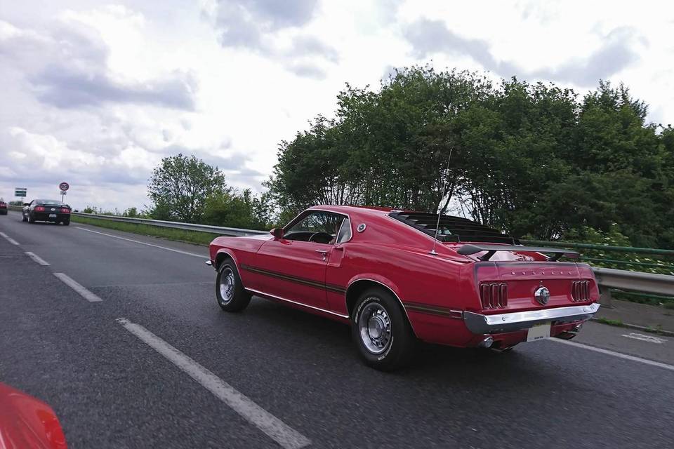 Mustang Légend