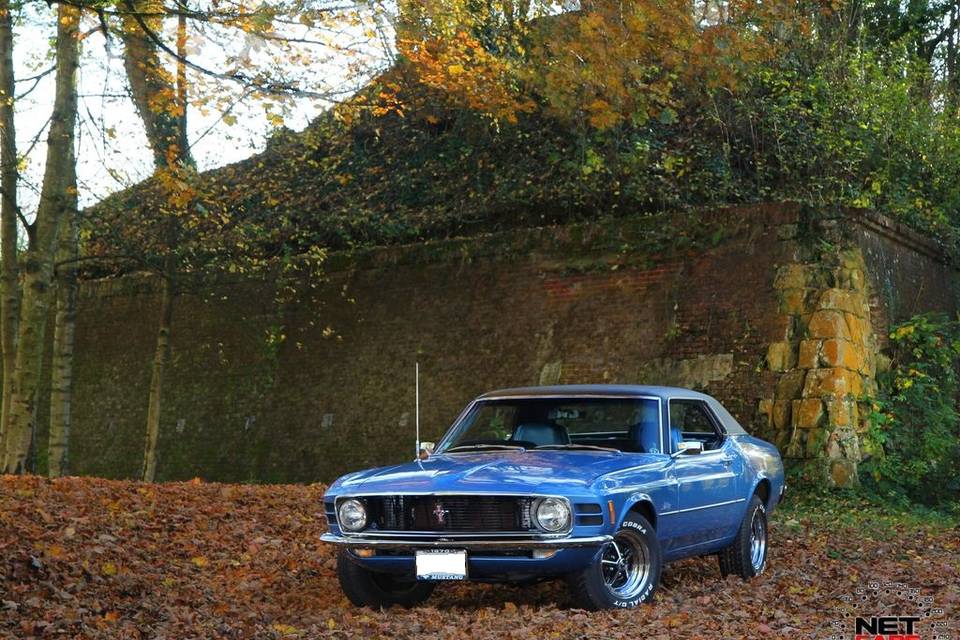 Mustang Légend