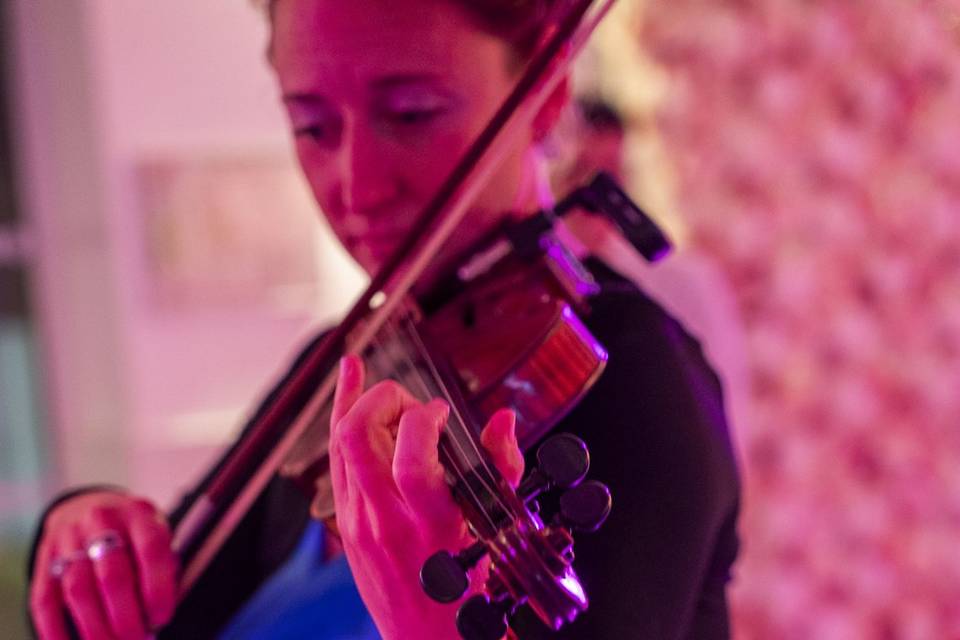 Violoniste