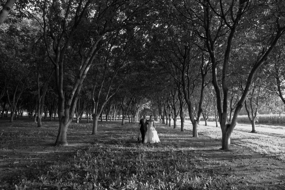 Photographe Mariage Bordeaux