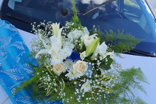 Auto corso