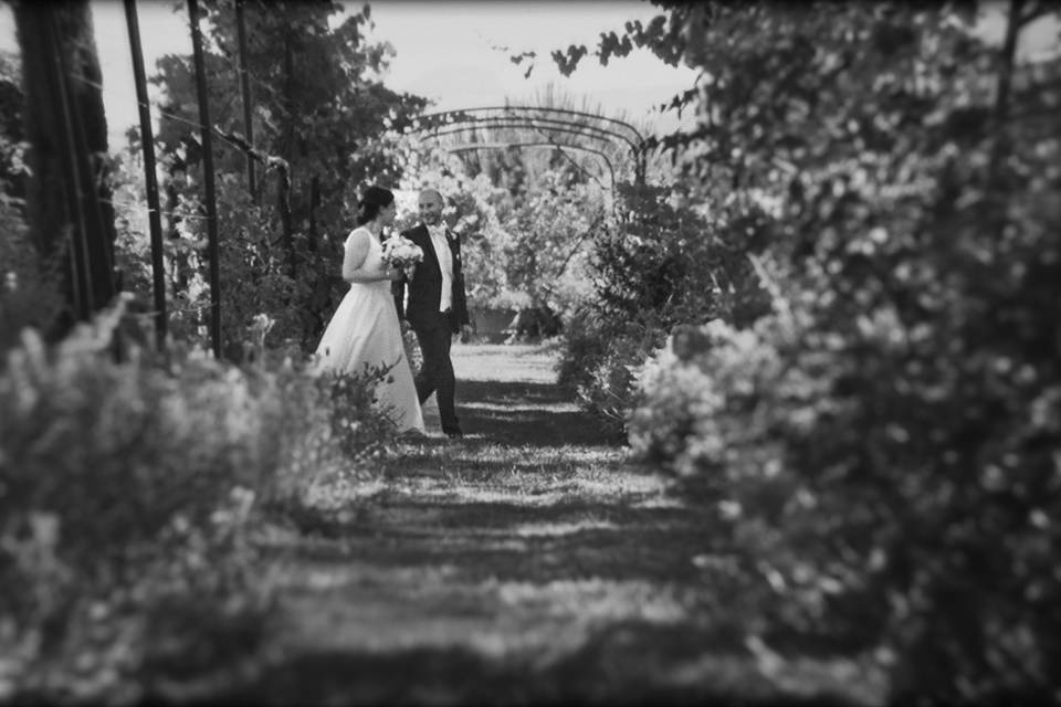Les jardins