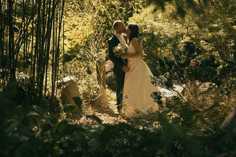 Balade en fôret