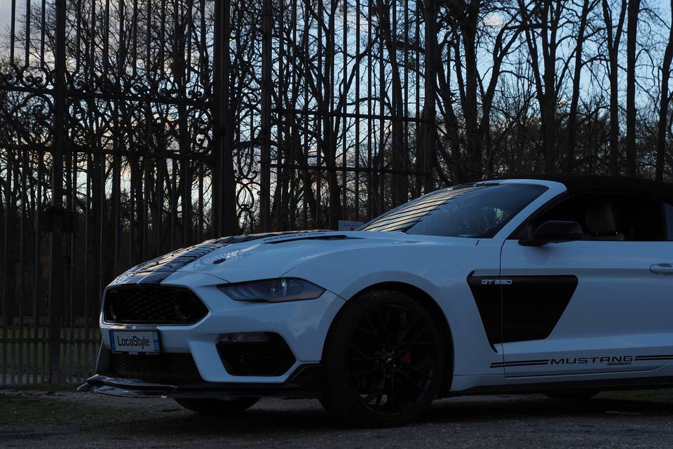 Avant Shelby GT350