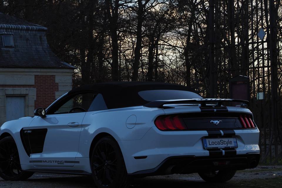 Arrière Mustang