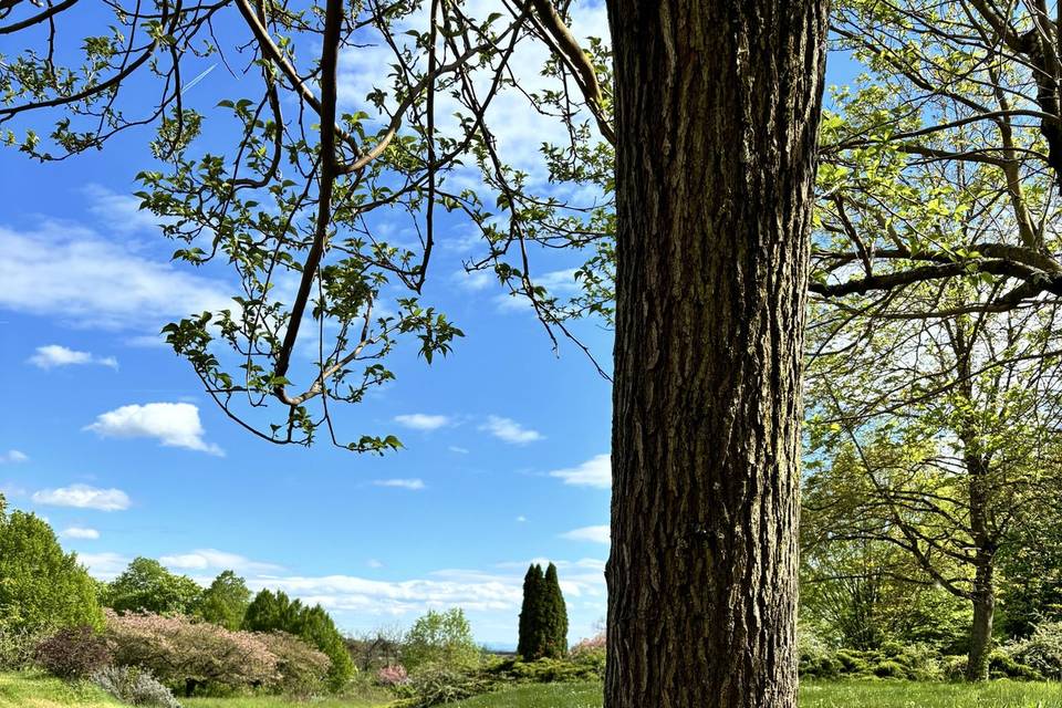 Parc fleuri