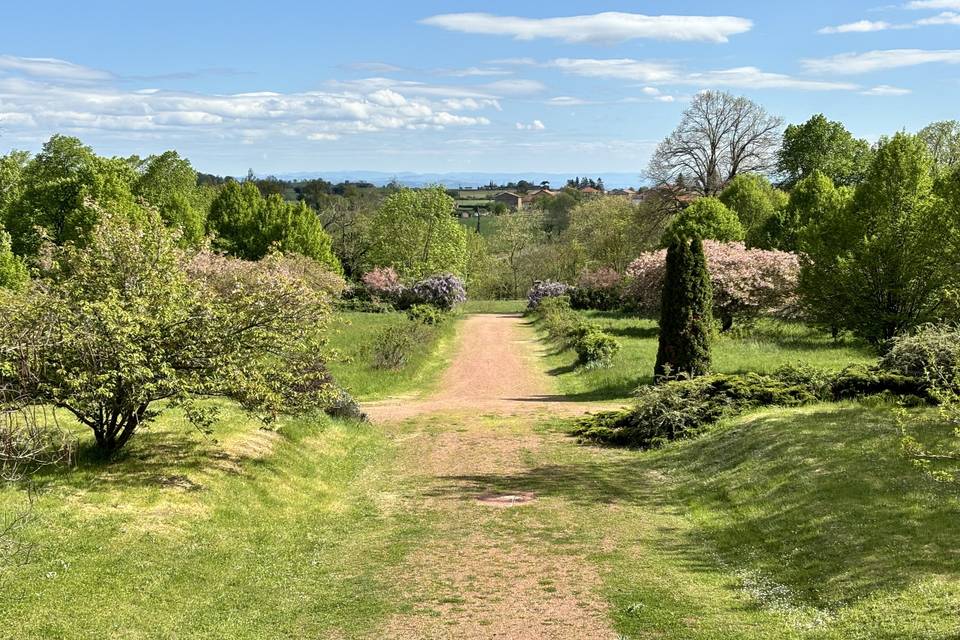 Vue d'ensemble du parc