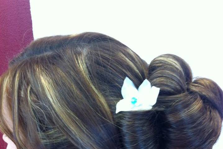 Chignon