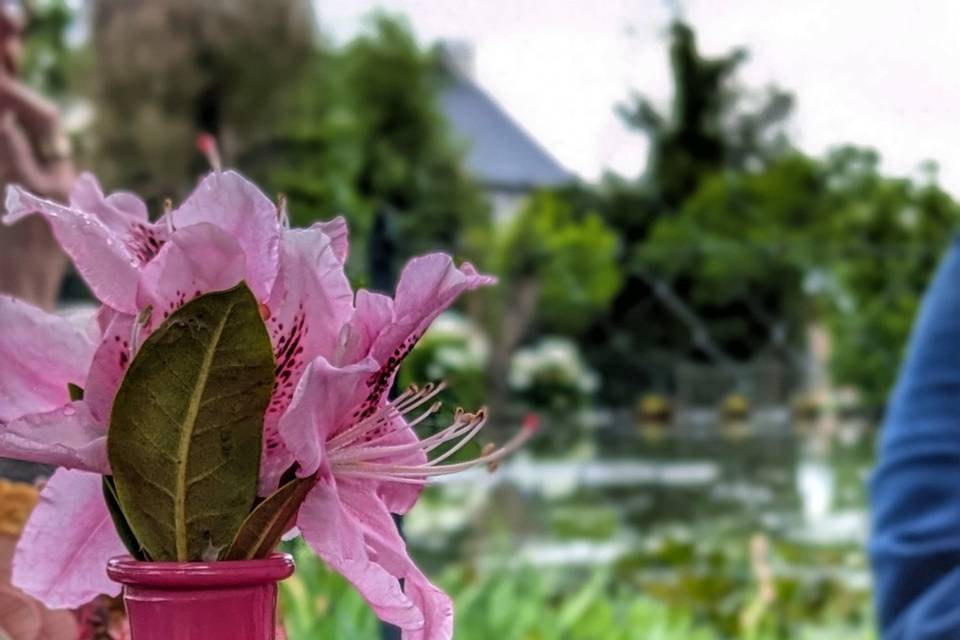 Créativité et jardinage