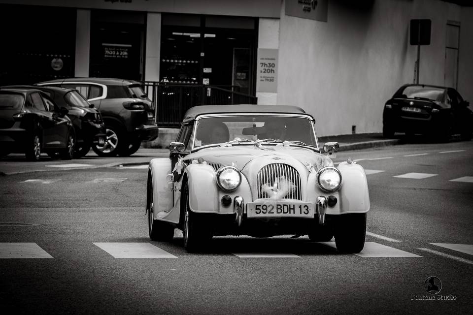 Morgan
