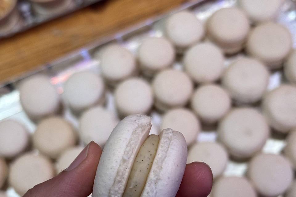 Macarons vanille