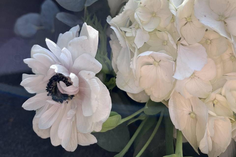 Fleurs audacieuses