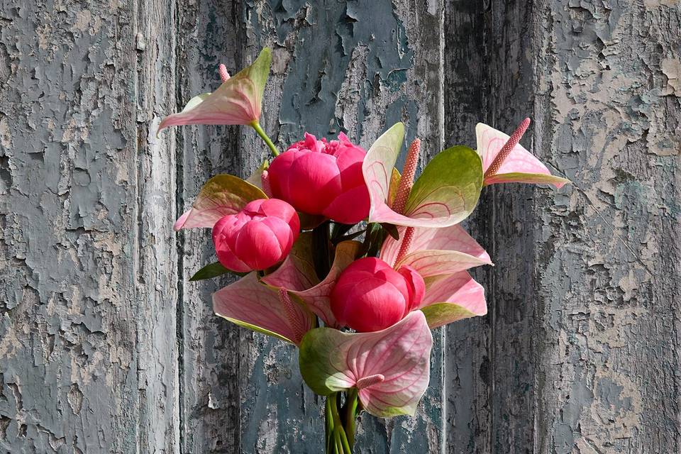 Pivoines et anturium