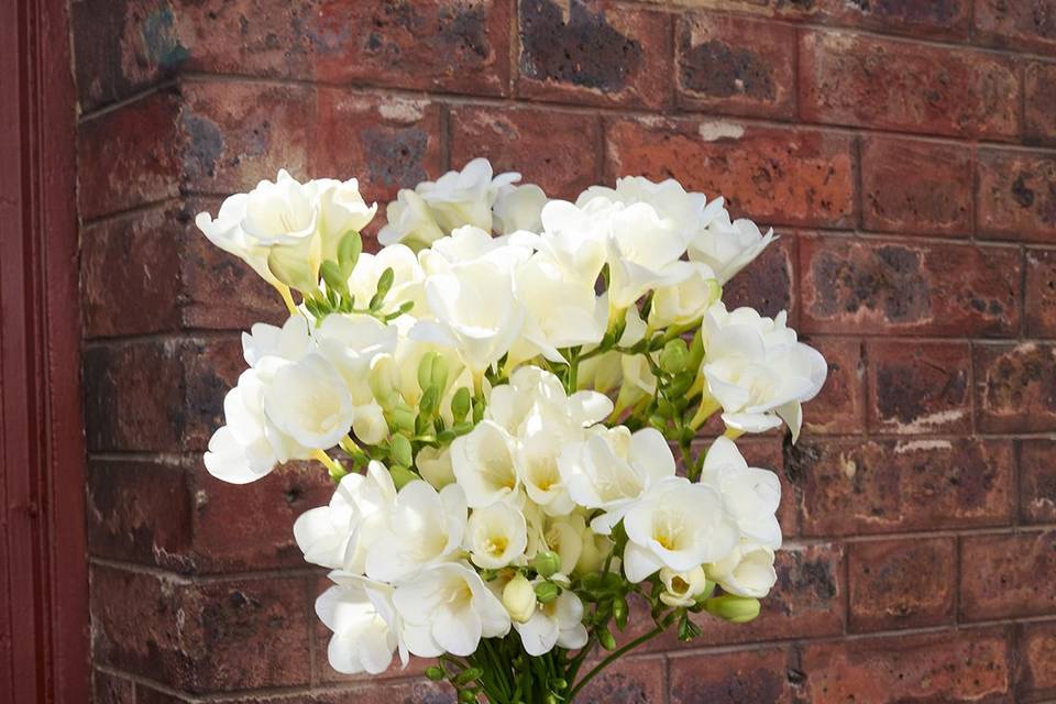 Freesia blanc, aérien, parfume