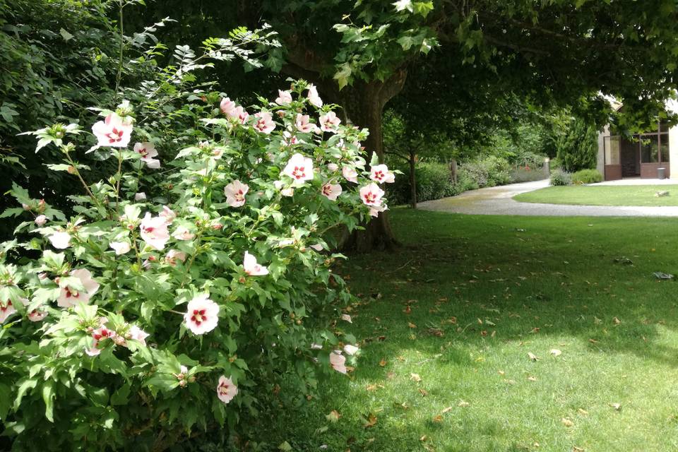 Pétanque pour le brunch