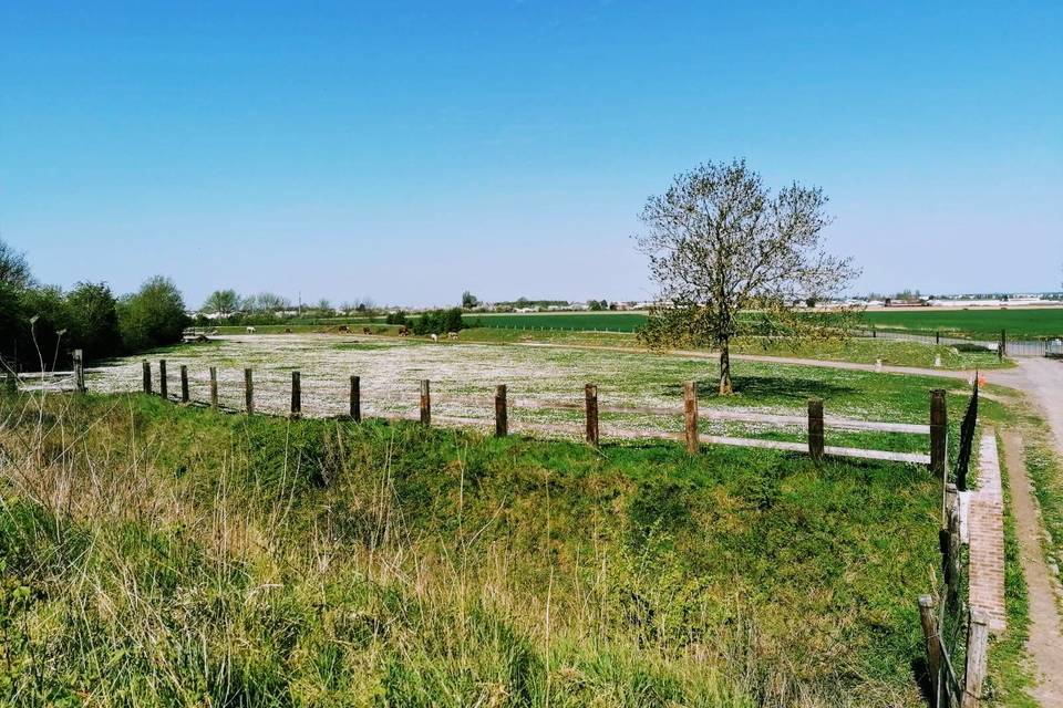 Le chemin pavé mène au fort