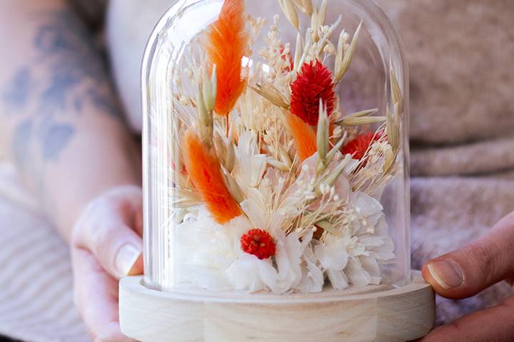 Cloche