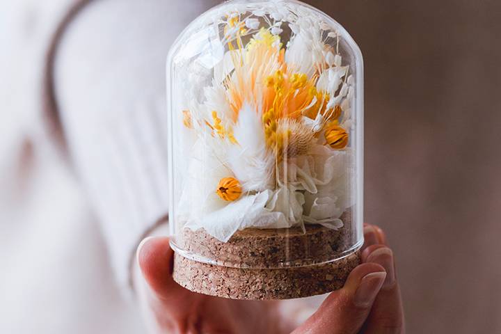 Mini cloche