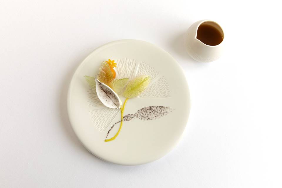 Agrumes collection
