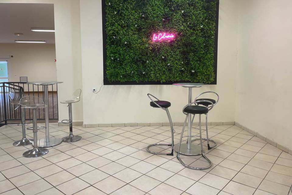 Mur végétal (petite salle)
