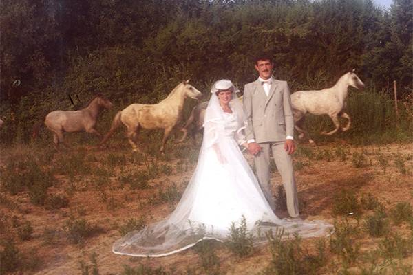 Chevaux