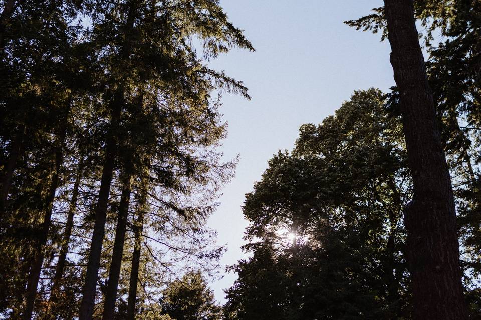 Parc