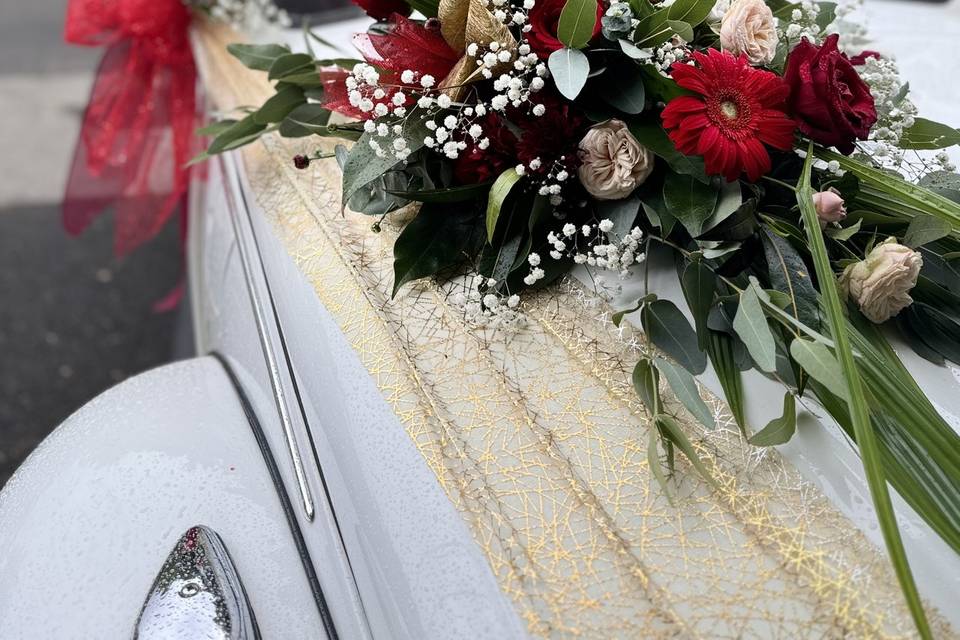 Cox fleuri