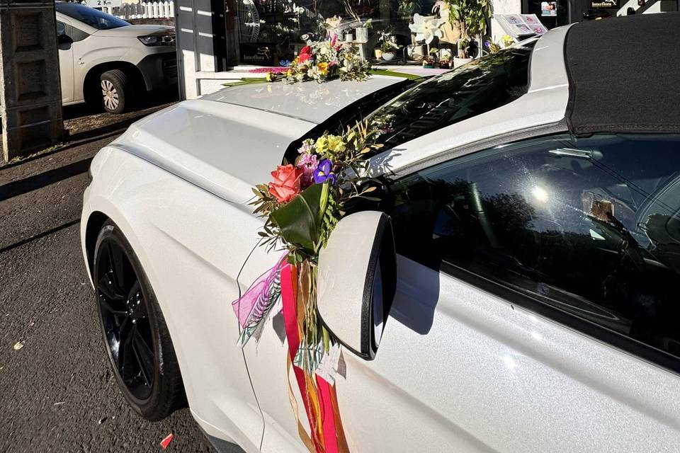 Installation voiture