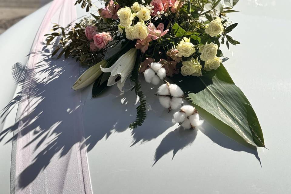 Ambiance pastel