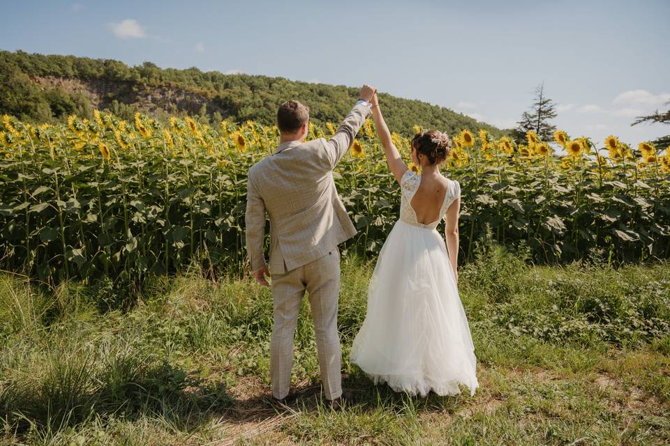 Champ de tournesols