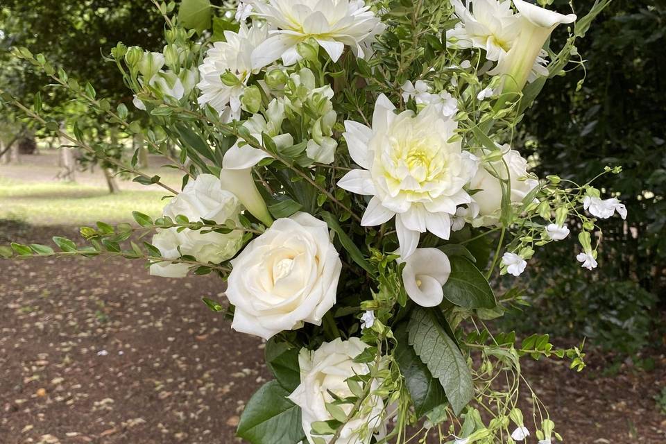 Passion Florale