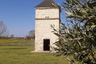 Château Pierre de Montignac