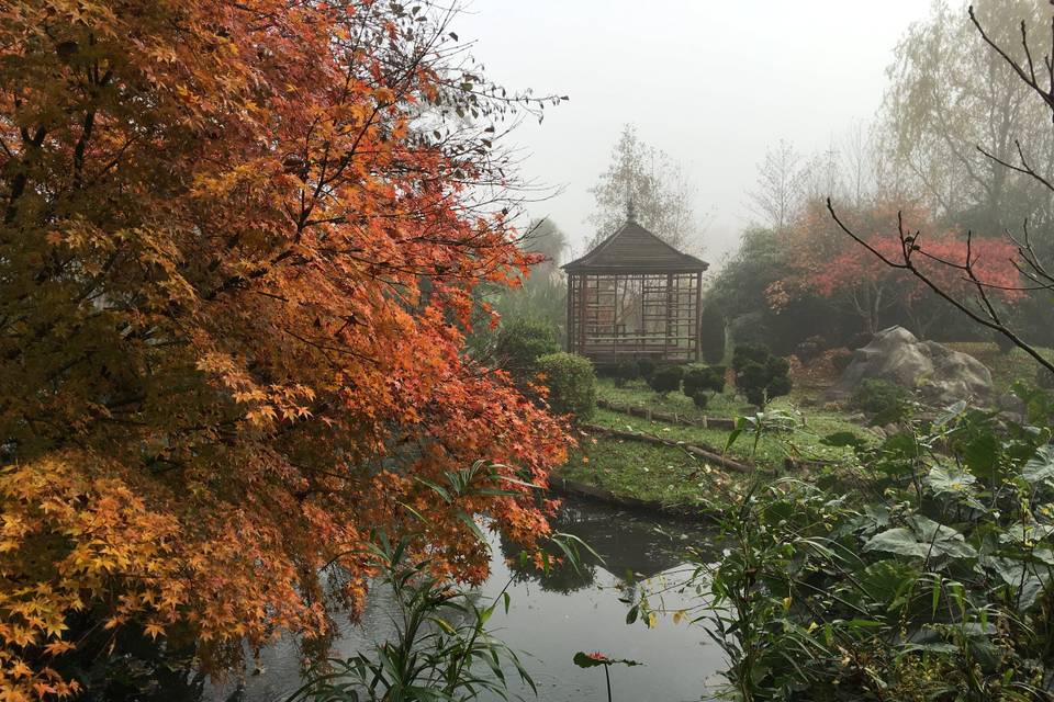 Jardin japonais