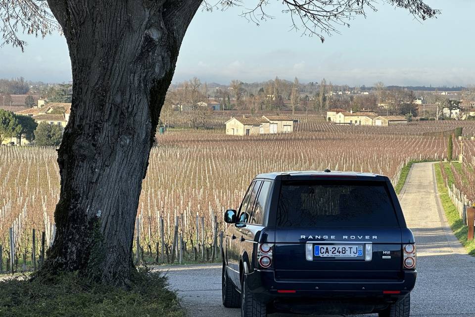 Aquitaine Limousine