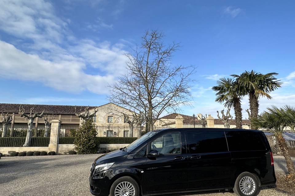 Aquitaine Limousine