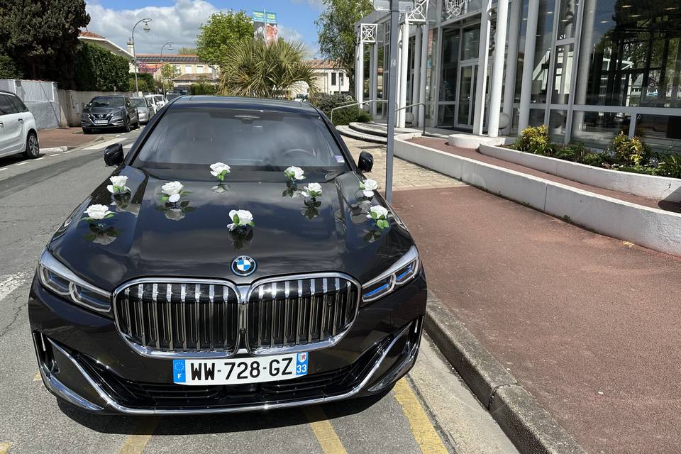 Aquitaine Limousine