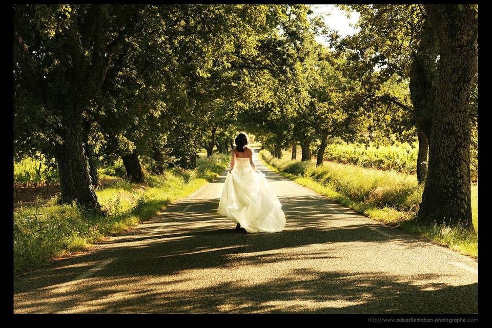 Photographe Mariage dans le Var, Grasse