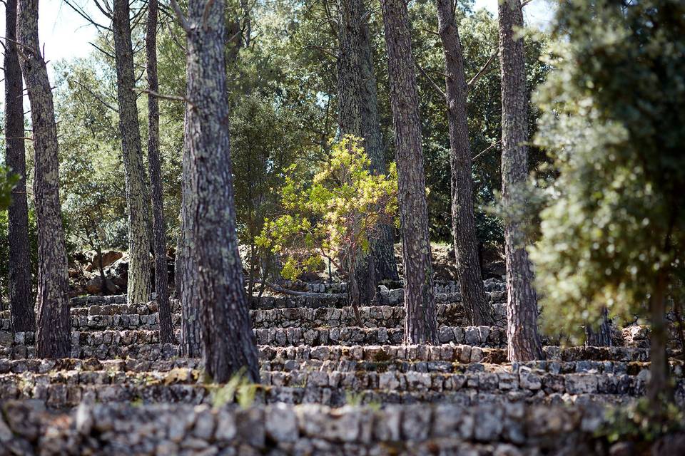 Bastide Saint Louis du Thoronet