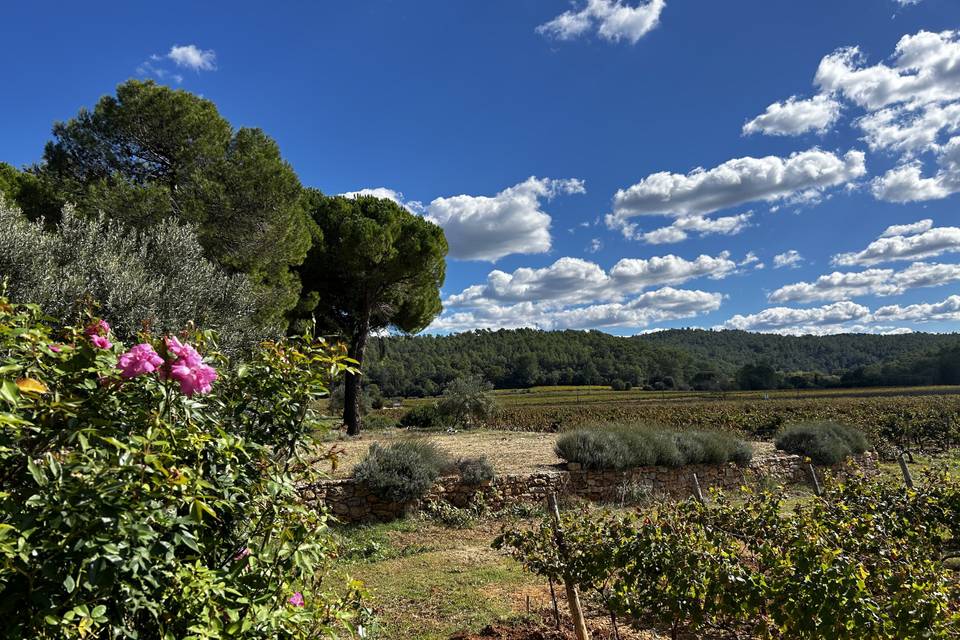 Vue sur le domaine